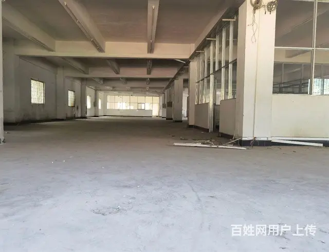 国有红本小独院厂房出售，台湾人年纪大退休回台 - 图片 7