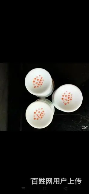 文革时期中南海怀仁堂毛瓷研究所制花鸟图案酒具 - 图片 4