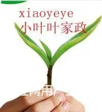 小叶叶家政专业优秀半天和全天的保姆育婴嫂护工钟点工 - 图片 2
