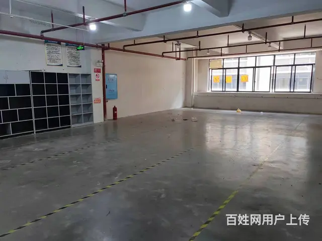 （老板本人）星沙经开区园区标准厂房/仓库/办公楼房东直租 - 图片 4