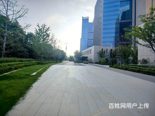 大龙湖旁金融集聚区整层1200平出售 - 图片 11