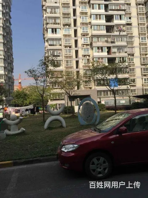 青枫公园宝龙广场 梧桐苑 精装修2房价格包物业拎包 - 图片 11