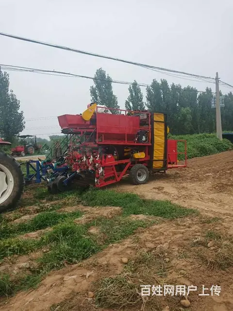 自动墩包土豆红薯联合收获机  挖掘输送除杂装包一体 - 图片 6