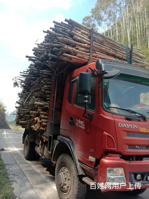 湖北大运 风度 自卸车 国3 - 图片 2