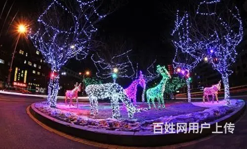 桥梁亮化，绿地景观亮化，城市路灯照明工程设计施工 - 图片 6