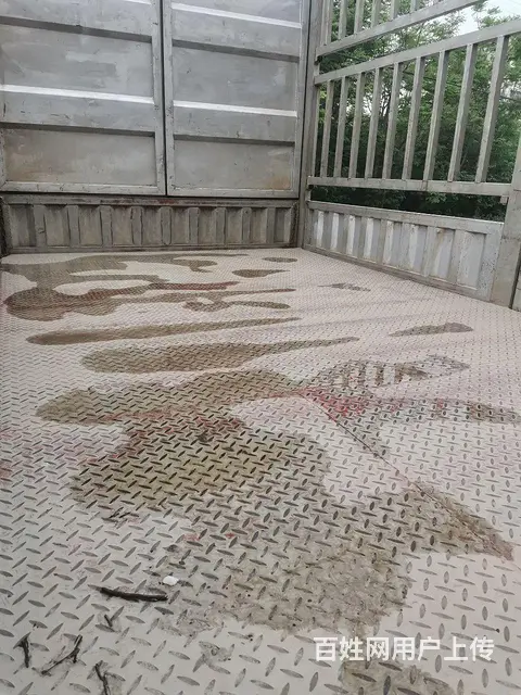 福田欧马可 欧马可S3 高栏/栏板 国5 - 图片 4