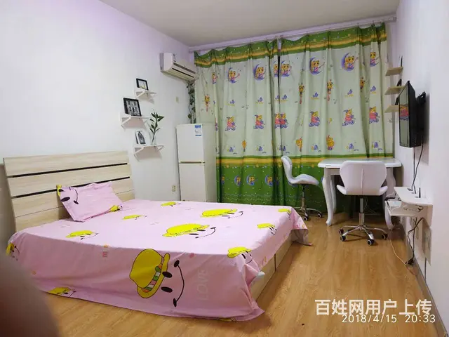 东北电力大学，西典花园，短租，假期，月租，探亲，专升本 - 图片 2