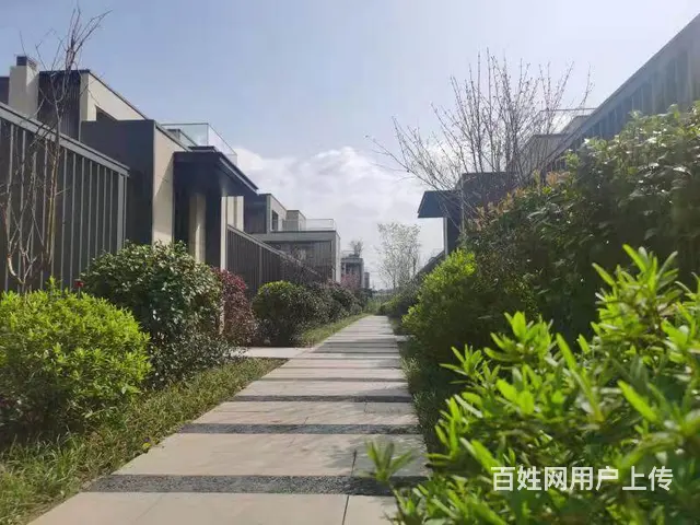 长沙南绿心旁田园别墅出售 - 图片 5