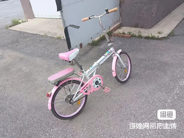 折叠自行车出售 - 图片 5