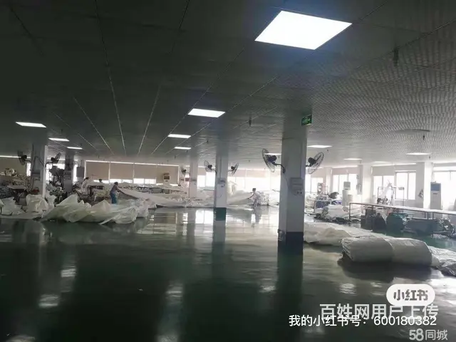 出租武进前黄厂房仓库低价出租 - 图片 3