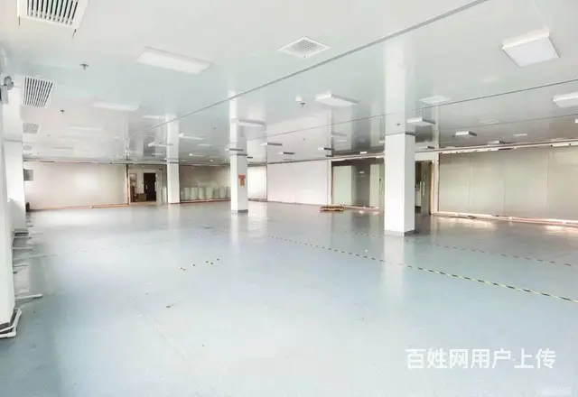 （老板本人）星沙一号园区厂房仓库/办公楼出租，可分租5602 - 图片 5