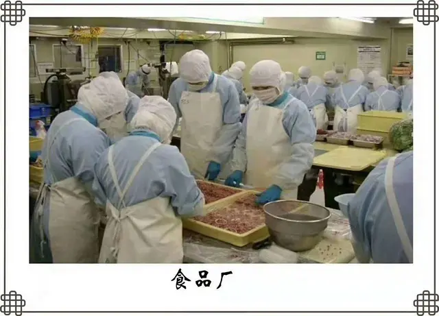 直招出国人员 工种多 下签快 薪资高 保顺利出国. - 图片 2