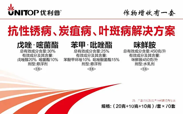 豆角黄瓜辣椒抗性锈病炭疽病靶斑病解决方案 - 图片 5