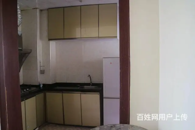 金世纪嘉园 商住两用 豪华装修 - 图片 2