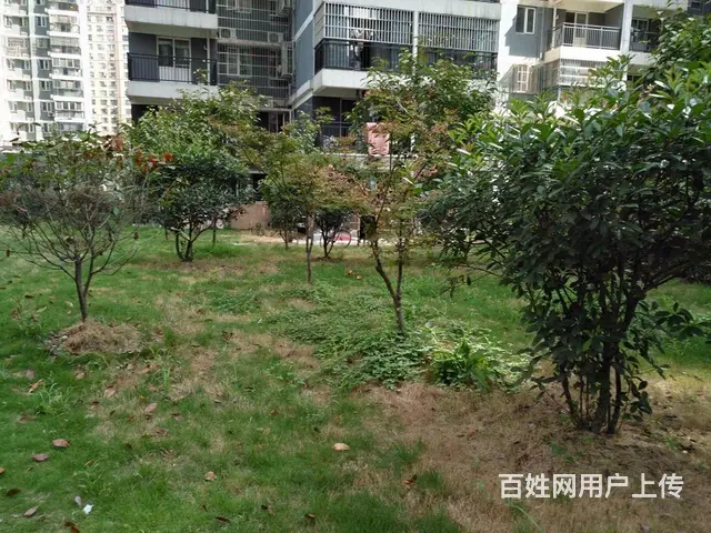 4号线地铁口 东沙花园 东湖景园 温馨小两室高性价 - 图片 11