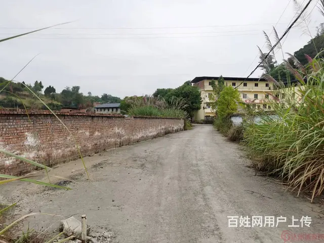 （达铺源网）达州市高新区幺塘乡15000㎡厂房出租 - 图片 5