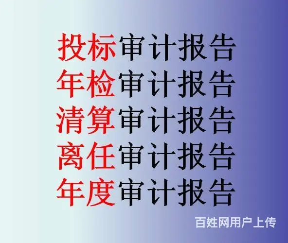 四表一注财务审计报告投标审计报表 - 图片 4