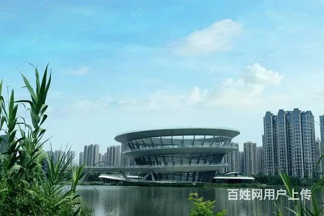 卓越浅水湾(梅溪湖) 3室1厅2卫复式公寓 精装修 拎包入住 - 图片 12