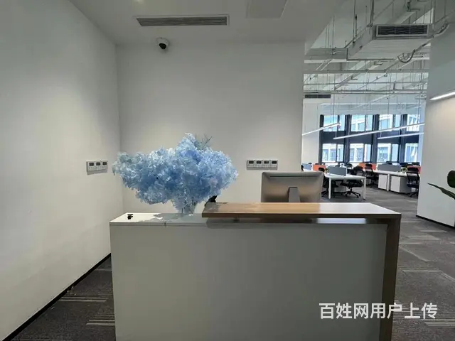 滨江阿里中心，电商直播园，多套户型出租，条件好谈，性价比之选 - 图片 8
