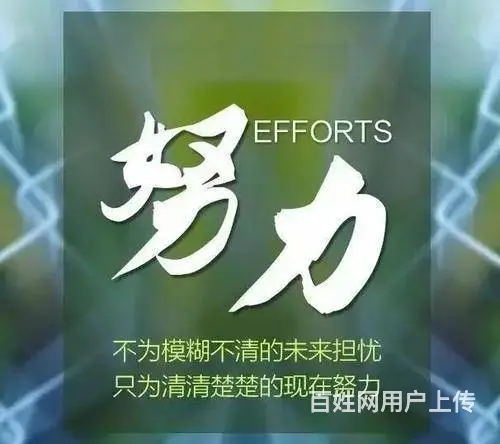 徐州有南京传媒学院五年制专转本暑假零基础强化辅导班 - 图片