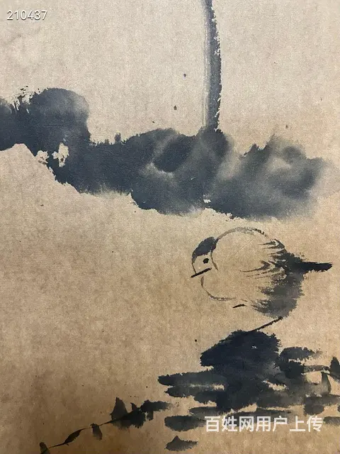 八大 精品册页 画心33.5✖️22cm✖️6开 - 图片 5