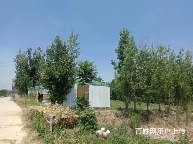 (58今铺)平邑卞桥镇 1300平板厂 带办公配房 - 图片 6