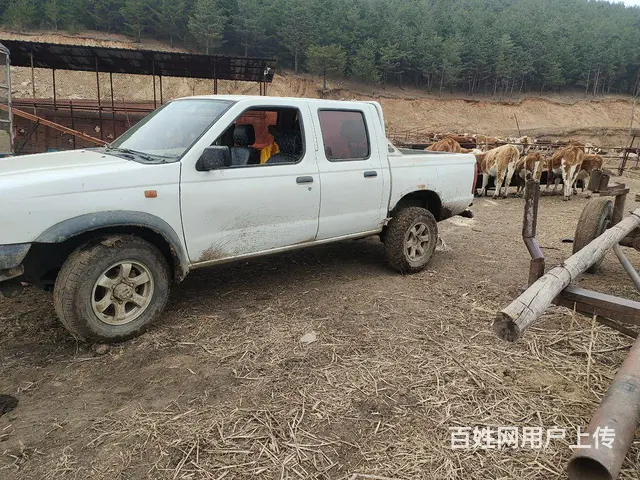 东风 其他 皮卡 国4 - 图片 2