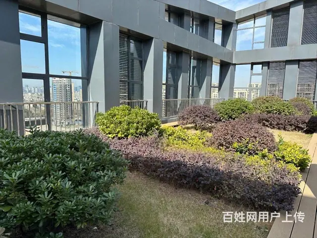 JWK武林之星，精装出租60至200方，多套小户型可挑选！ - 图片 8