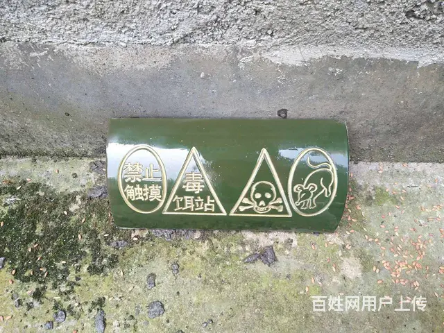 双峰县专业灭老鼠灭蟑螂灭白蚁等 - 图片 4