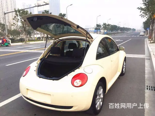 大众Beetle [甲壳虫](进口) 2010款 - 图片 8
