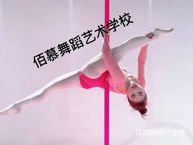 宜春哪里有专业的舞蹈培训机构 - 图片 4