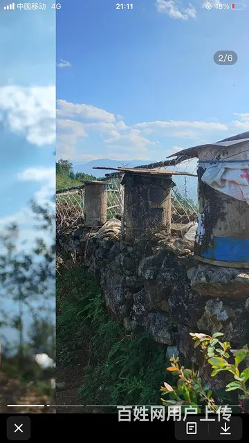 正宗高山半野生土蜂蜜和   绿色蛋类 - 图片 4