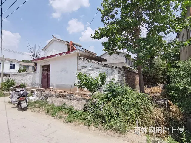 休闲养生农家小院 - 图片 1