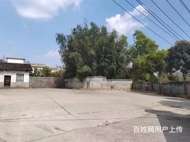 （老板本人）开福区捞刀河中青路南方驾校附近场地出租 6206 - 图片 7