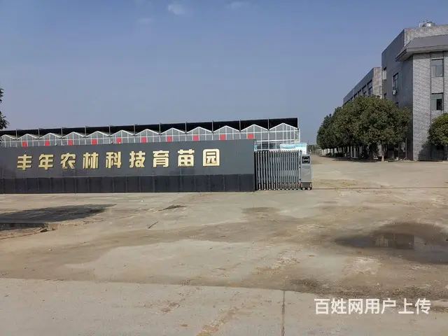 急需销售，包吃住，底薪3000元加提成 - 图片 3