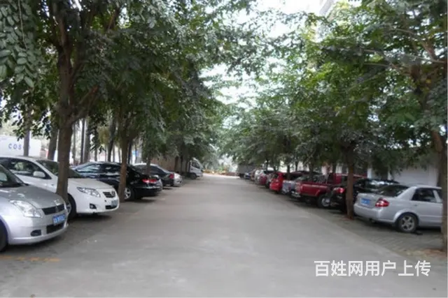 滨海大道   华秀大厦3房精装修 - 图片 7