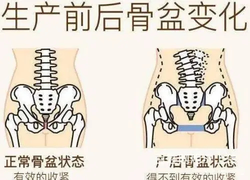 免费培训产后修复技术 - 图片 3