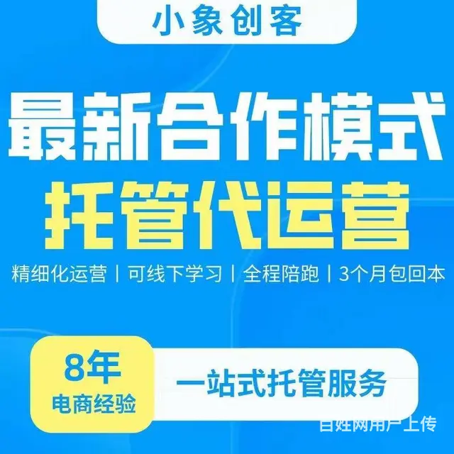 拼多多无货源店群项目，代运营合作模式，上货三天爆单 - 图片