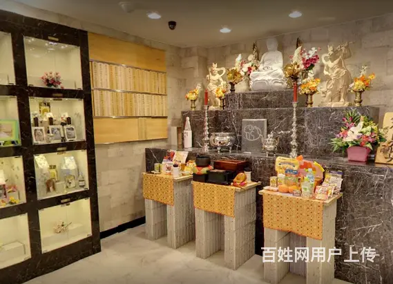 沈阳地区铁西区#沈阳宠物殡葬#缘分268 - 图片 1