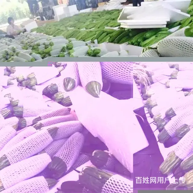 厦门配送生鲜,厦门蔬菜配送app - 图片 3