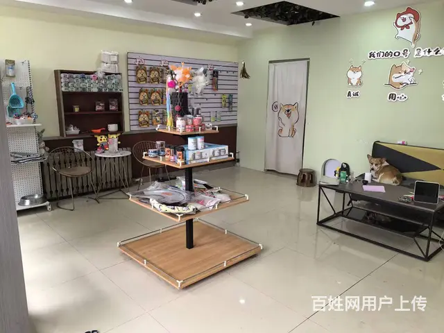 国奥现代城宠物店出兑可空兑适合各类生意： - 图片 6