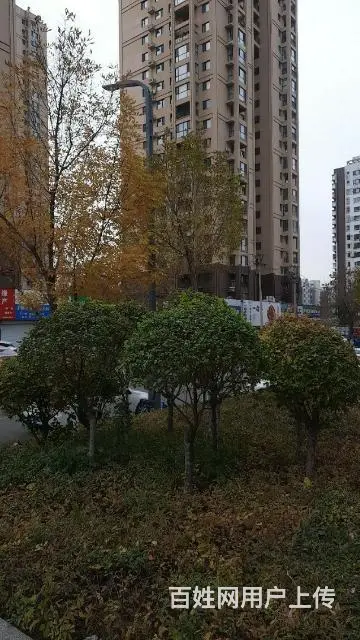 征婚，闲聊勿扰 - 图片