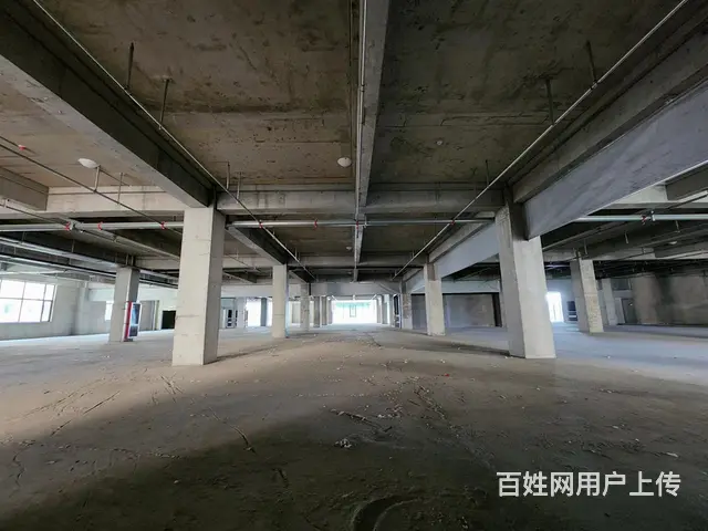 （今铺）河东好地段 12000平商铺 适合直播 医院 4S店 - 图片 3