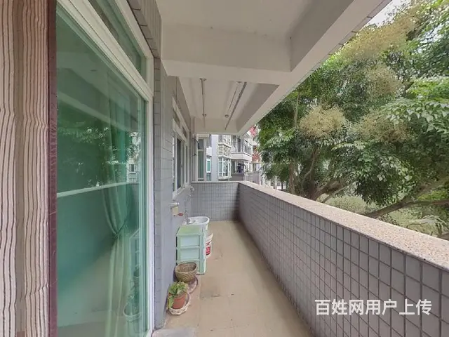 权英豪苑 新香洲 凤凰中小学 南北通4房 可改5房 一梯两户 - 图片 8