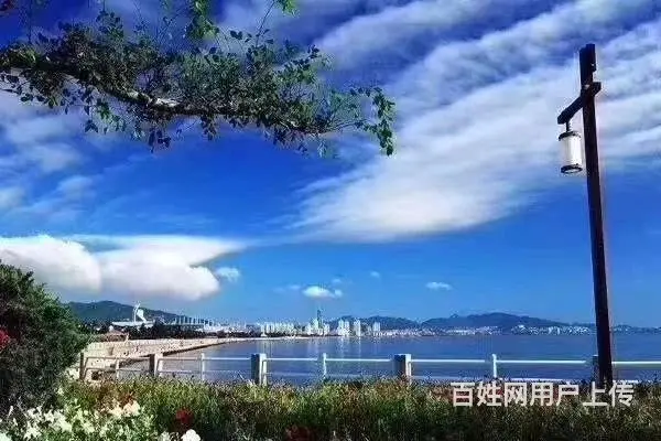 海世界精装修 真实在售 11层小高层 好楼层6米阳 - 图片 10