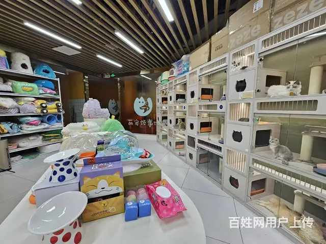 王府井宠物店出兑 商场内店铺出兑 - 图片 3