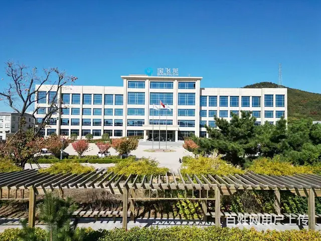 【创美】 羊亭灶台路宝飞龙工业园厂房出租，可以分租 - 图片 1