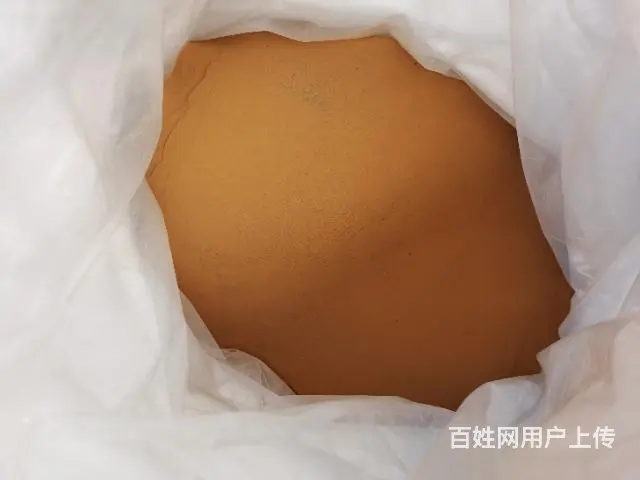 有海金沙出售， - 图片 1