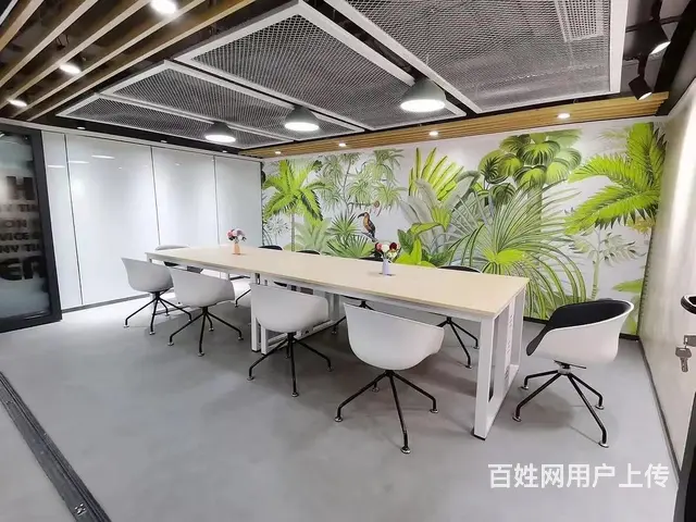 近五一商圈，靠窗精致小户型物业直租，适合4至6人办公含税 - 图片 3