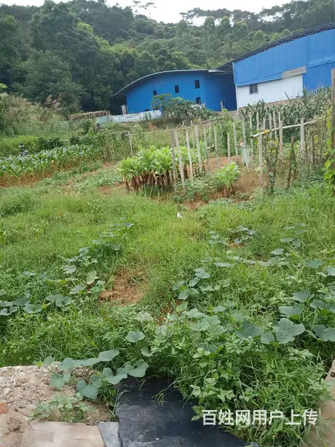 六荣开发区集体土地岀售(2) - 图片 1